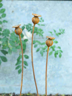 Three metal poppy seed heads sculptures with green leaves in the background