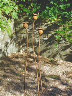 Three metal poppy seed heads on long stems against a stone wall and green foliage background