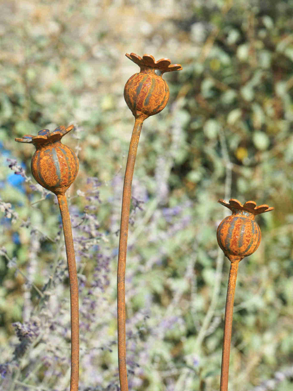 Three metal poppy seed heads with a blurred natural background
