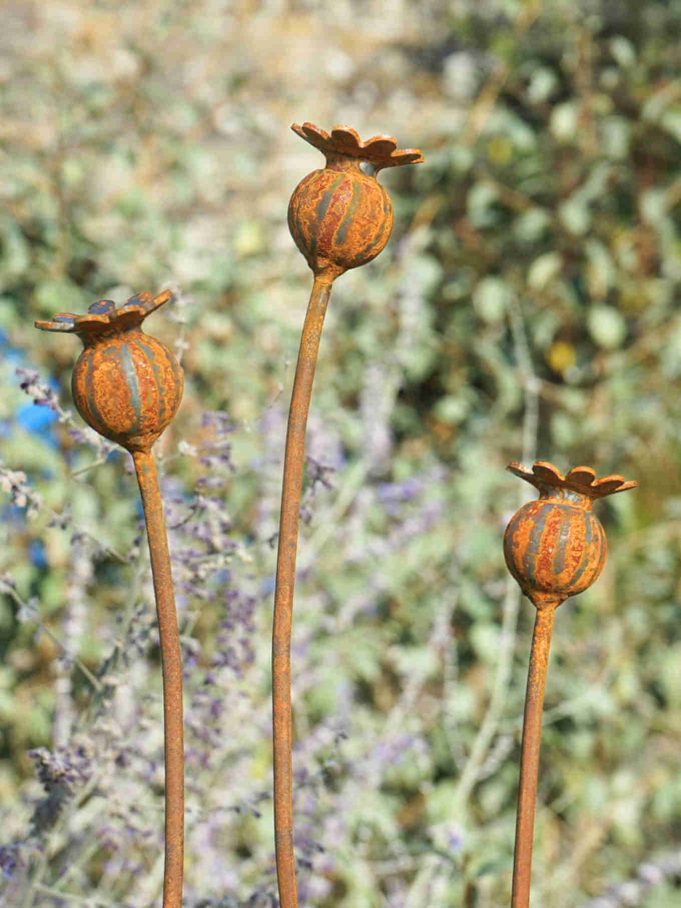 Three metal poppy seed heads with a blurred natural background