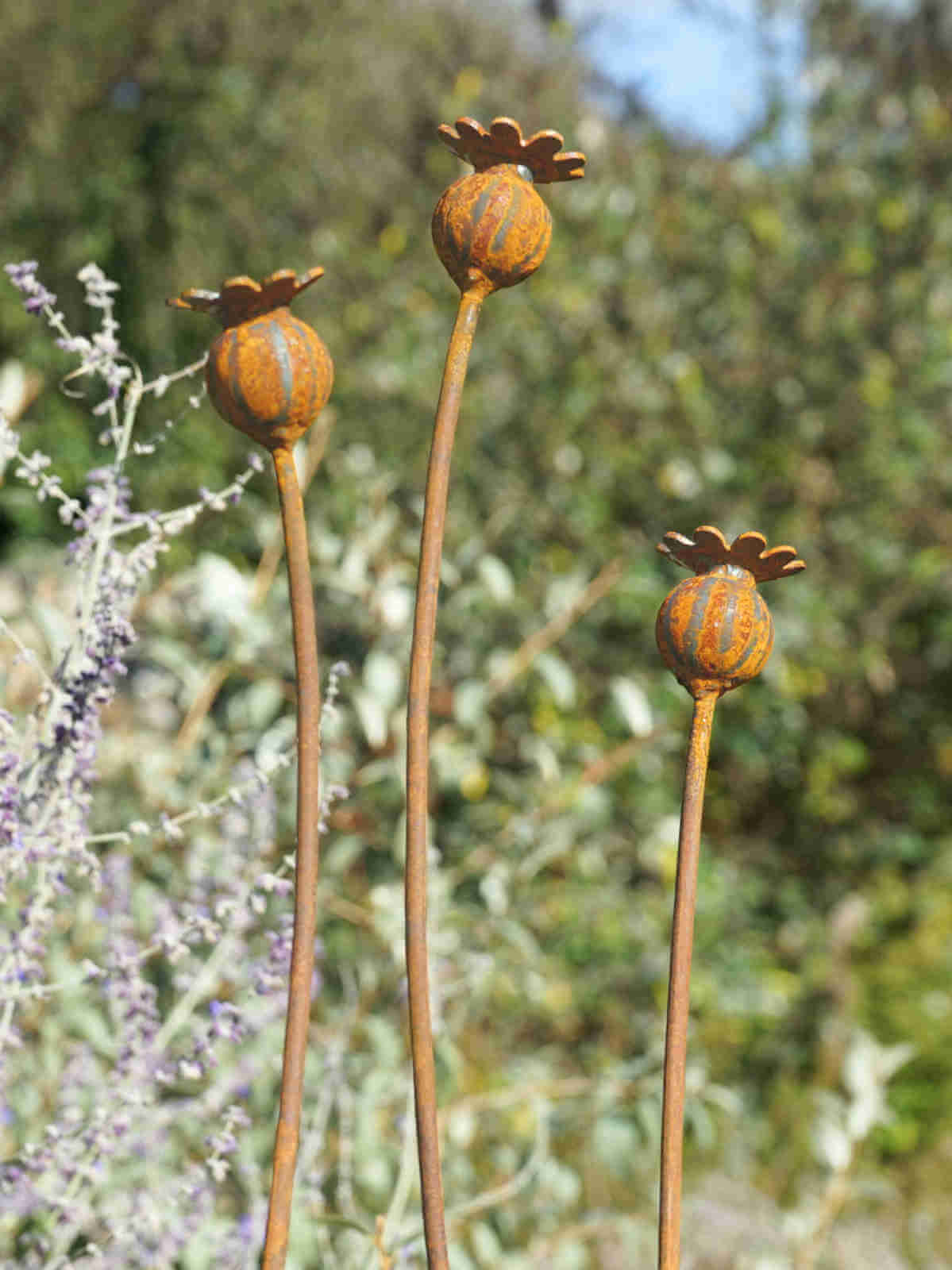 Three metal poppy seed heads on long stems against a blurred natural background