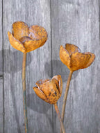 Three rusty metal Poppy sculptures against a wooden background
