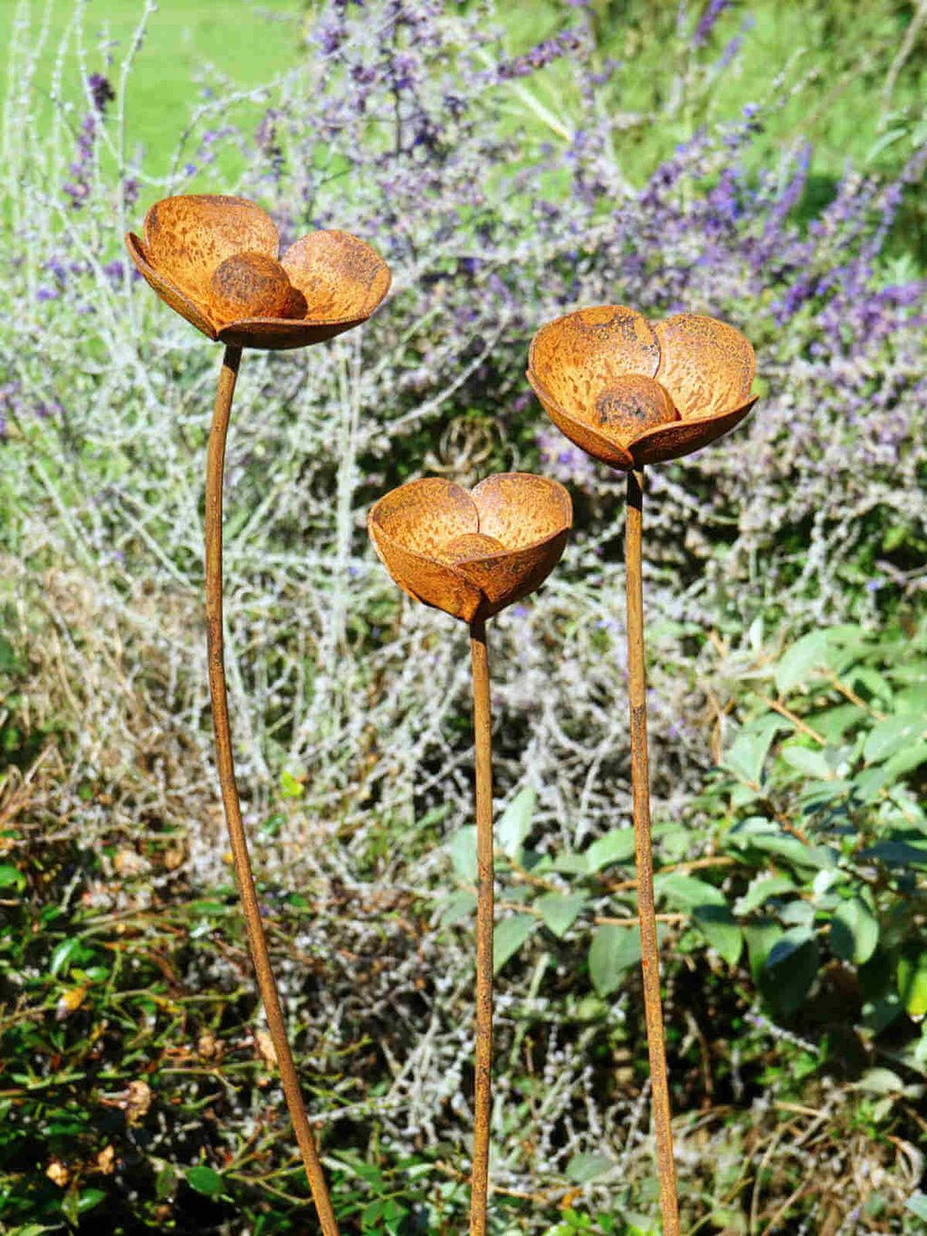 Rusty metal Poppy sculptures in a garden setting.