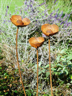 Rusty metal Poppy sculptures in a garden setting.
