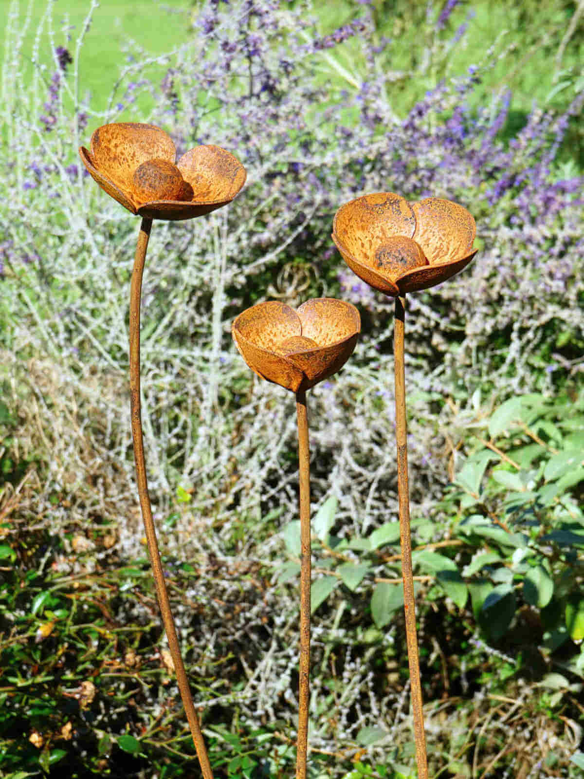 Rusty metal Poppy sculptures in a garden setting.
