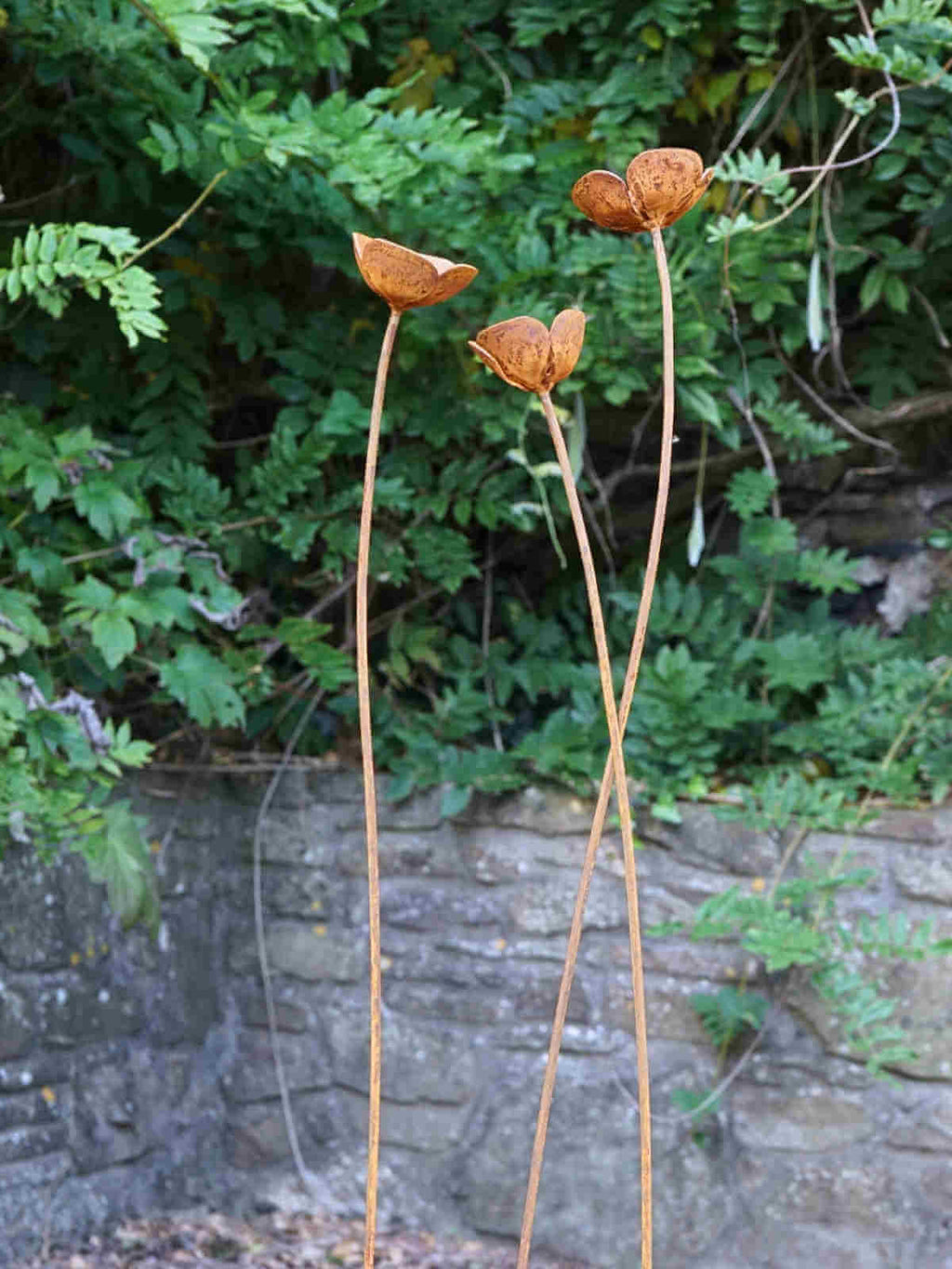 Rusty metal Poppy sculptures against a stone wall and green foliage background