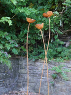 Rusty metal Poppy sculptures against a stone wall and green foliage background