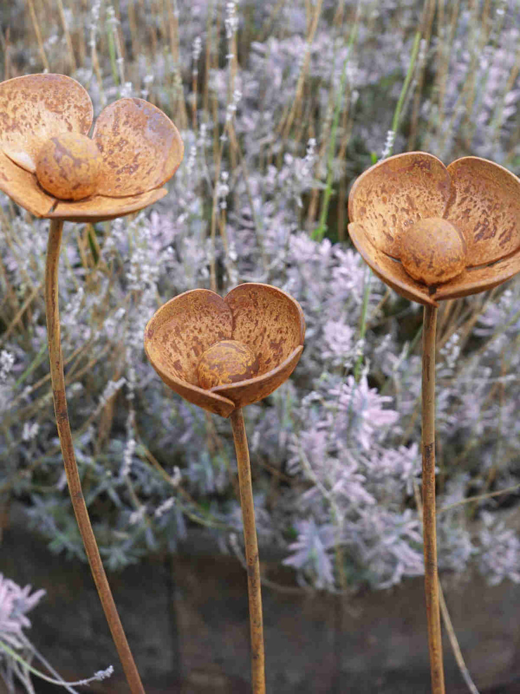 Three rusty metal Poppy sculptures in front of a lavender plant
