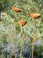 Three rusty metal Poppy sculptures in a garden setting with blurred greenery in the background