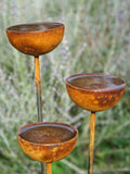 Three rusted metal rain catchers on stems against a blurred natural background