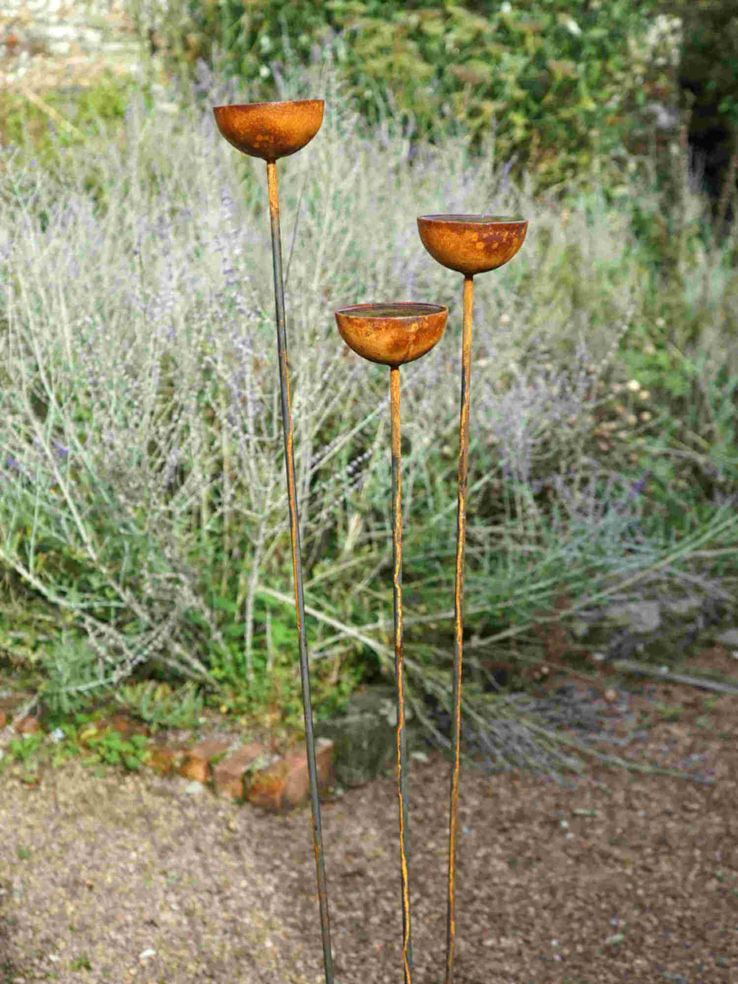 Three tall rusty metal rain catchers in a garden setting.