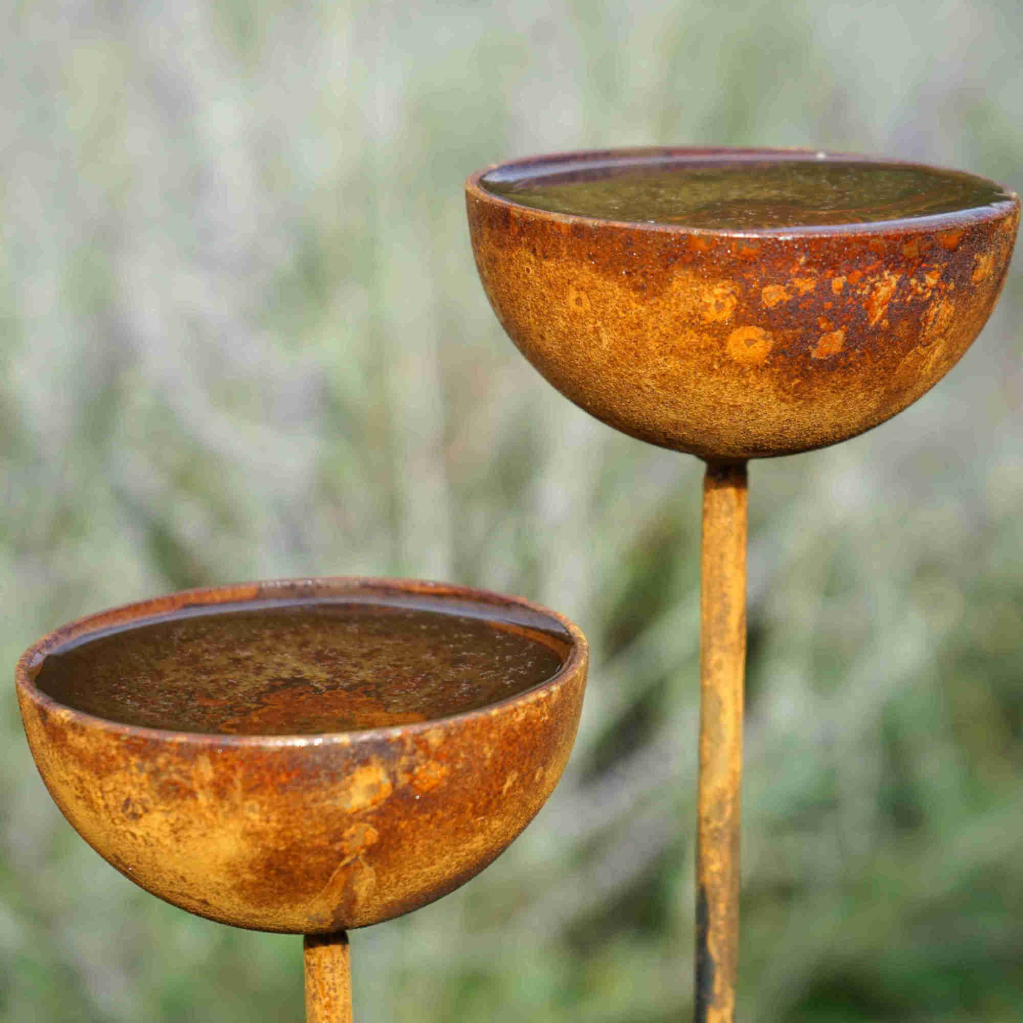 Two rusted metal rain catcher bowls on stems against a blurred natural background