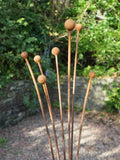Rusty metal Seed Head garden sculpture with spherical ends against a natural background