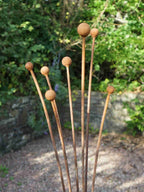 Rusty metal Seed Head garden sculpture with spherical ends against a natural background