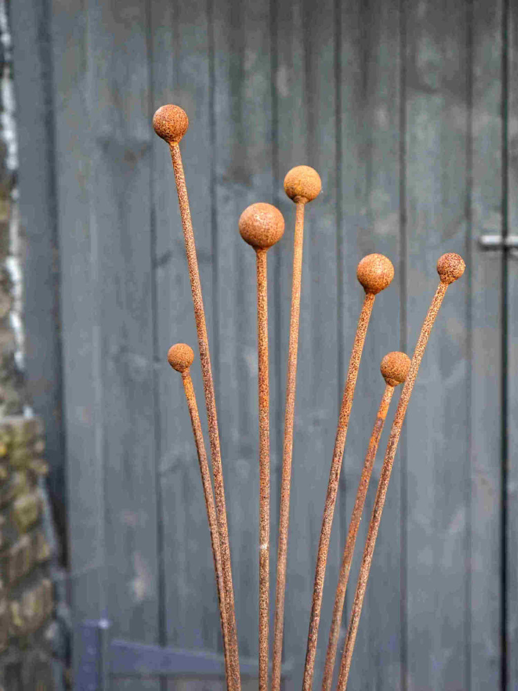 Rusty metal Seed Head garden sculpture against a grey wooden door
