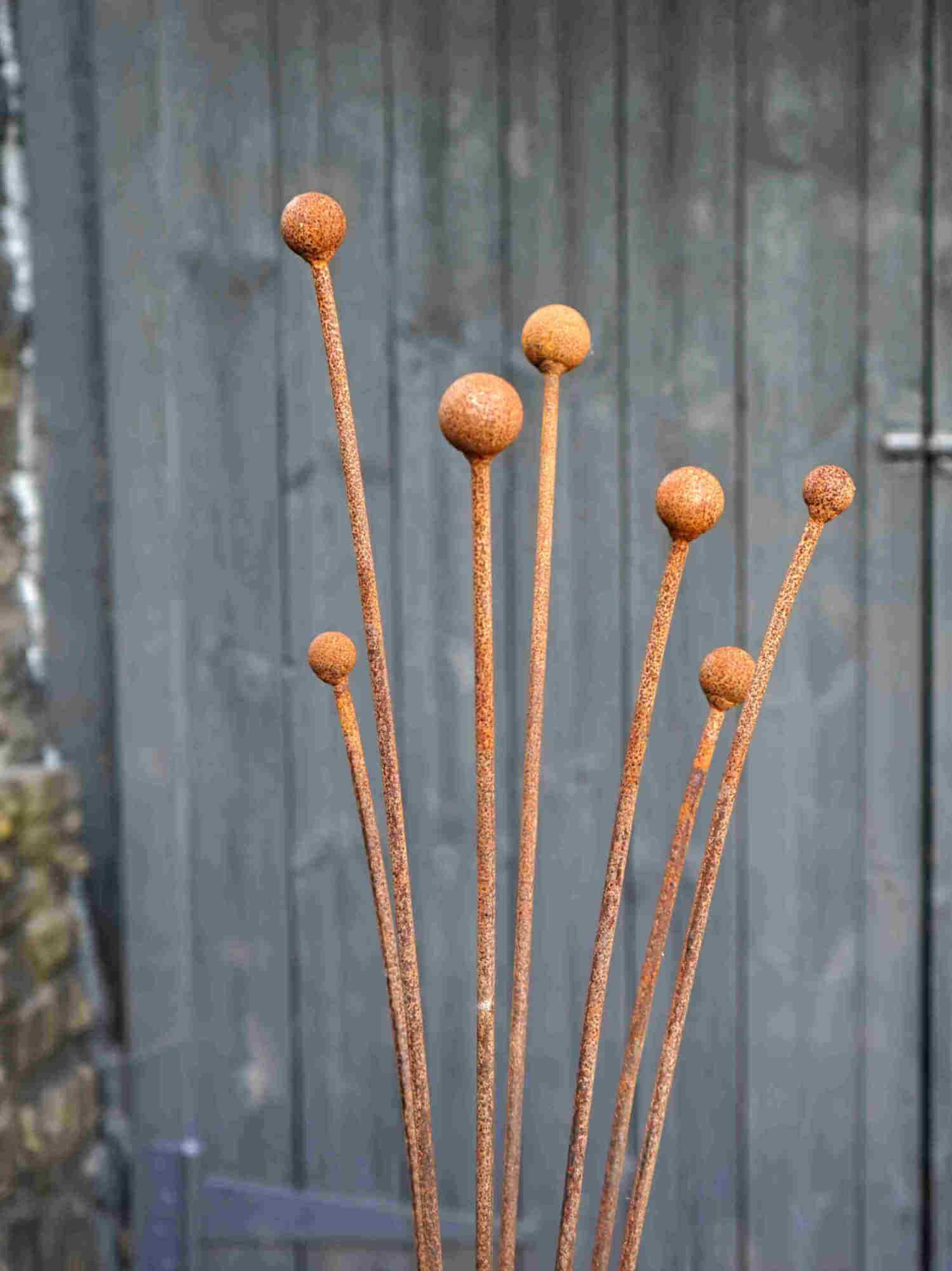 Rusty metal Seed Head garden sculpture against a grey wooden door