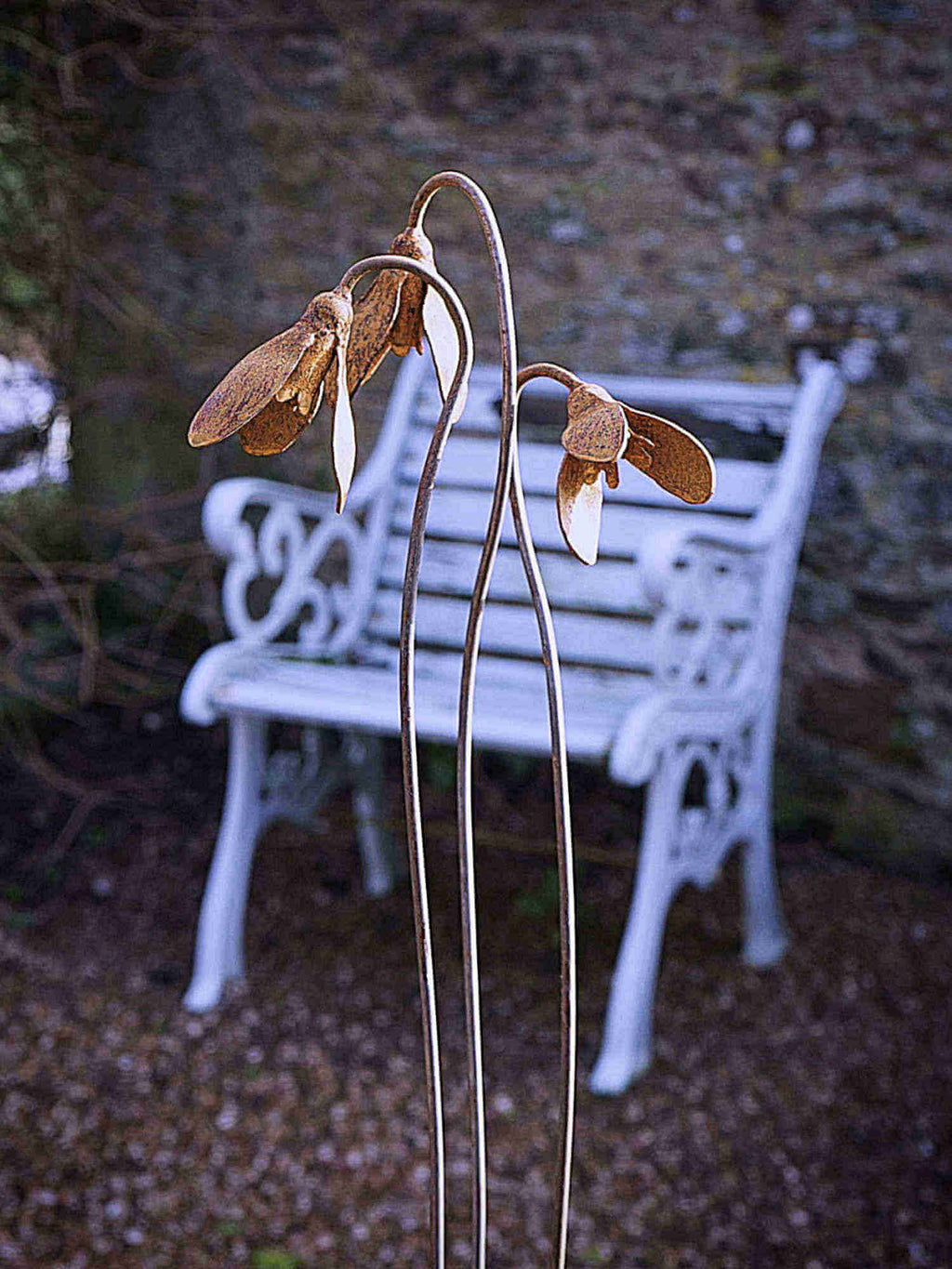 Rusty Metal Snowdrops  in front of a pale blue bench in a garden setting