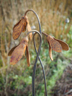 Rusty Metal Snowdrops  on a blurred natural background