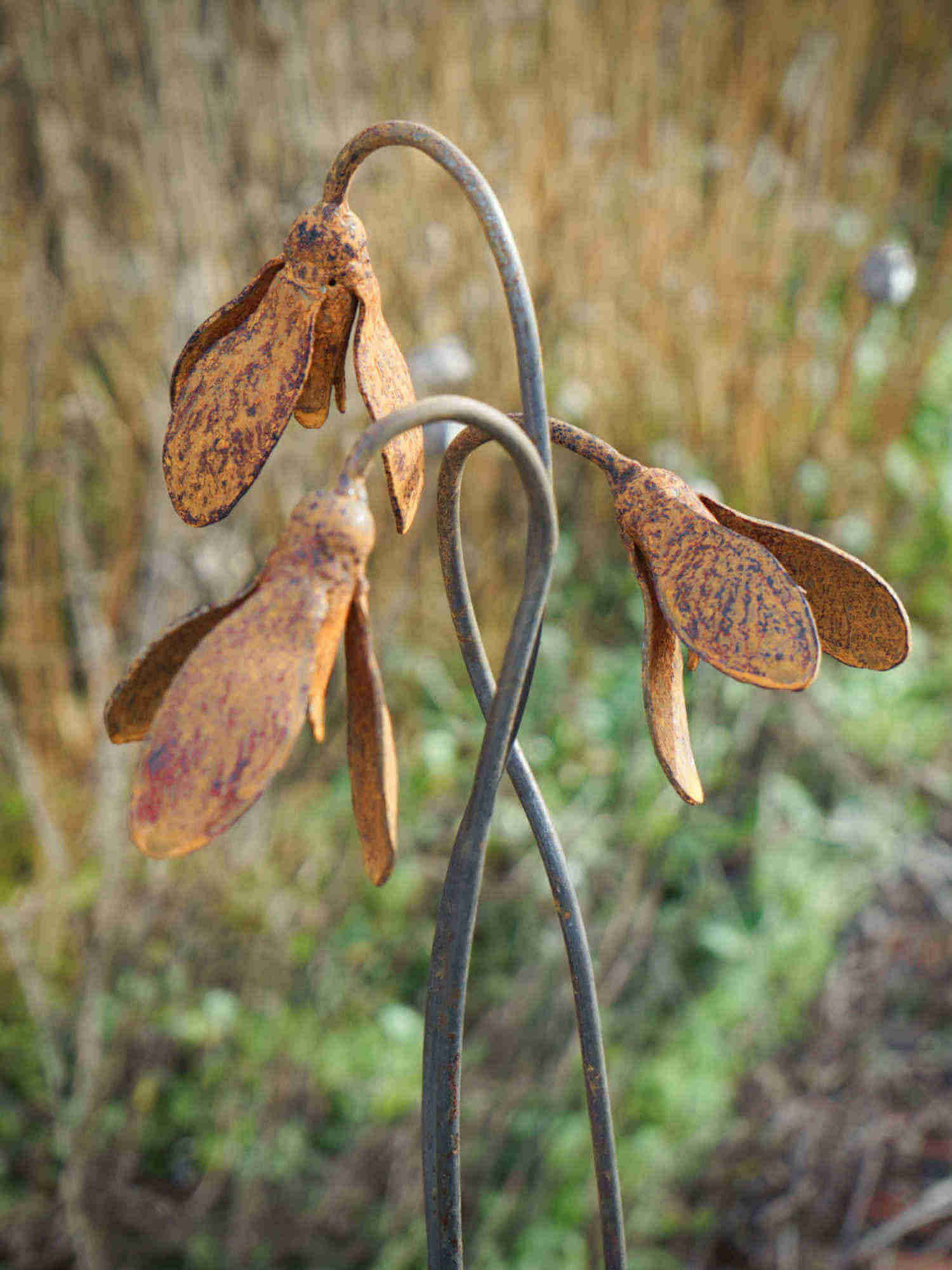 Rusty Metal Snowdrops  on a blurred natural background