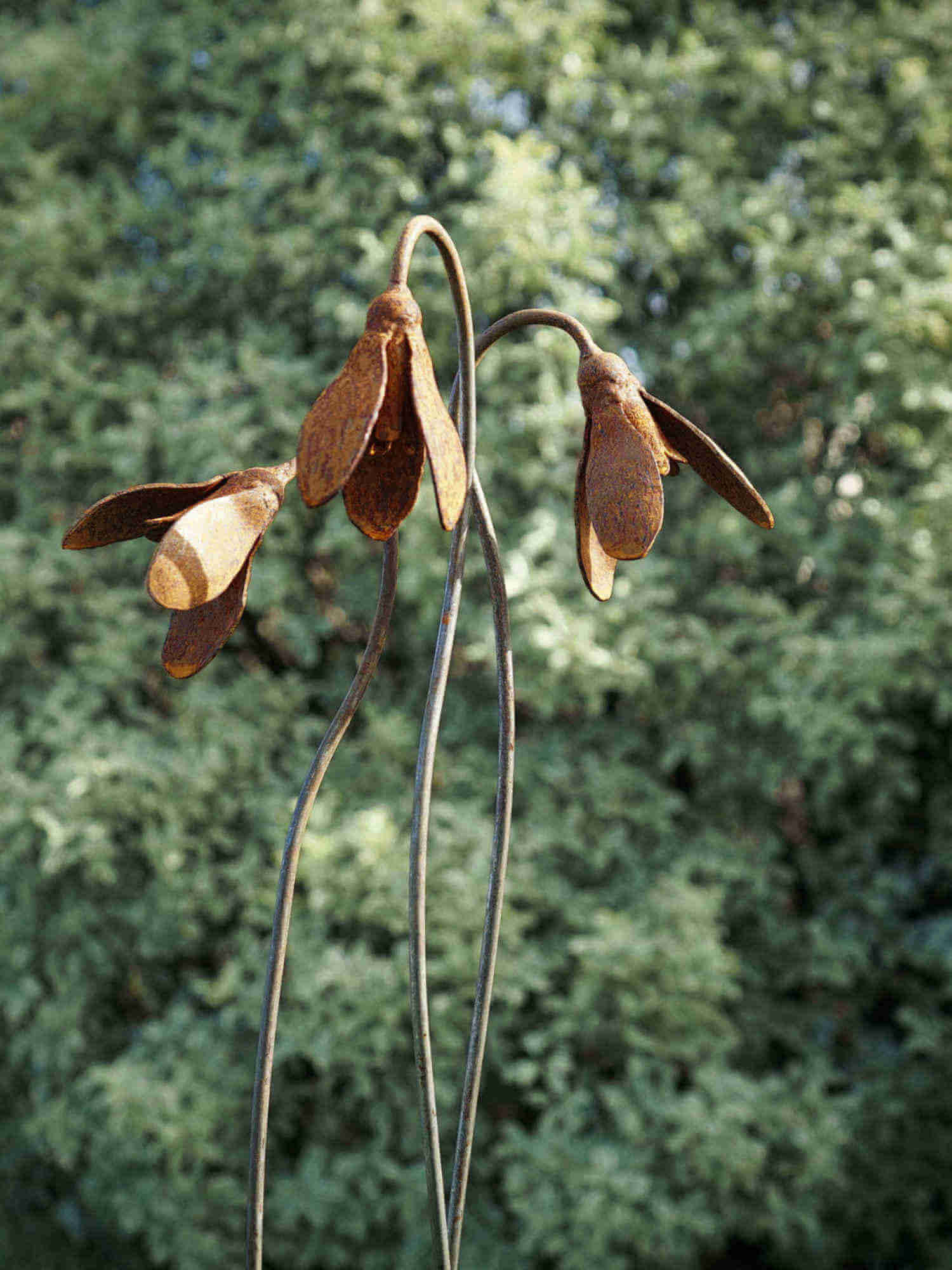 Rusty Metal Snowdrops with a blurred green background