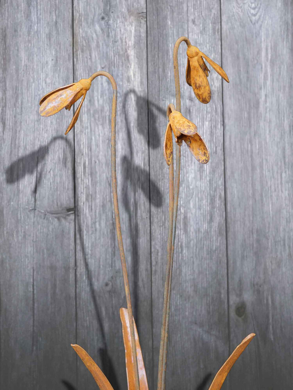 3 rusty steel snowdrop sculptures against a weathered wooden background.