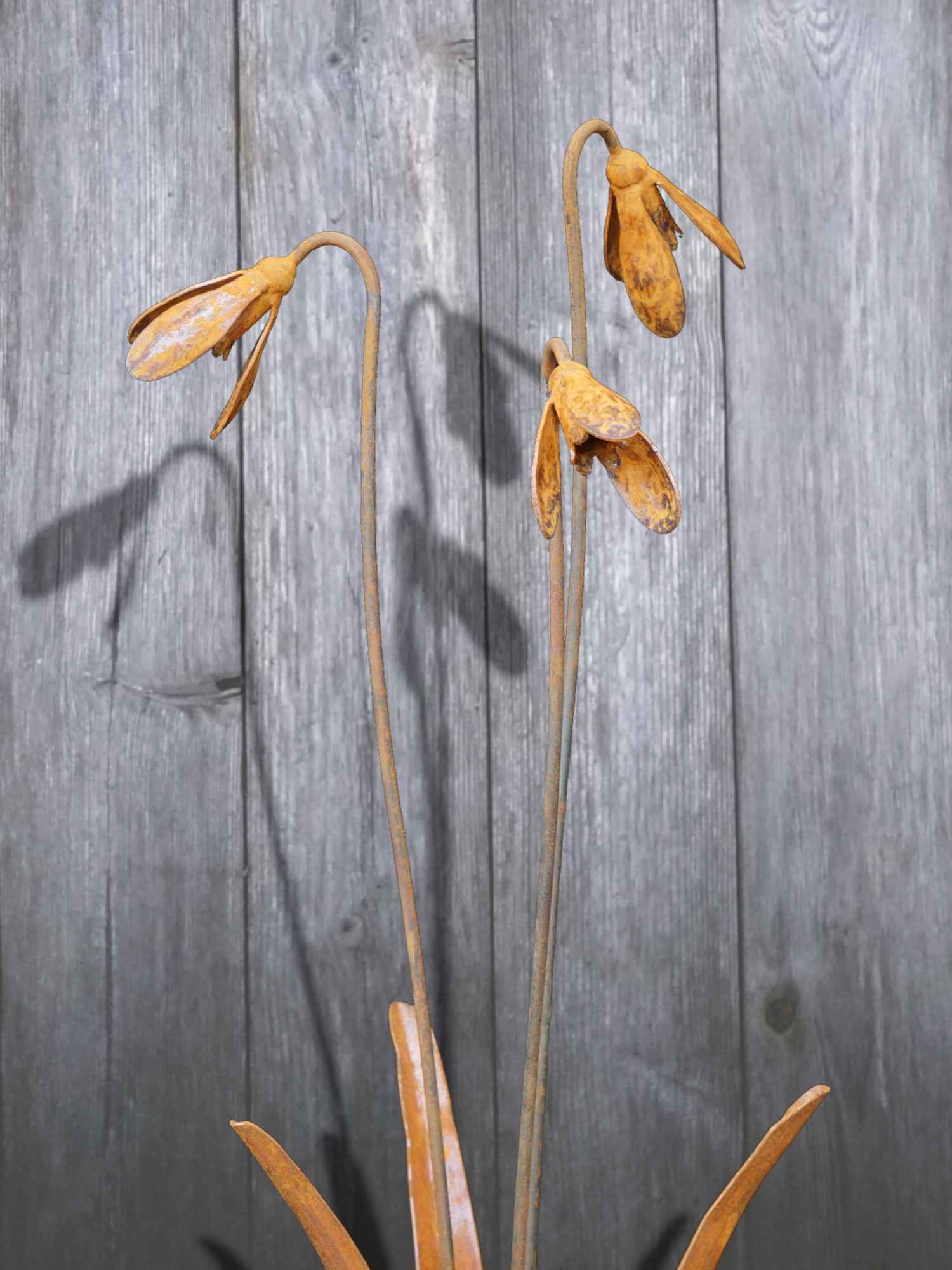 3 rusty steel snowdrop sculptures against a weathered wooden background.