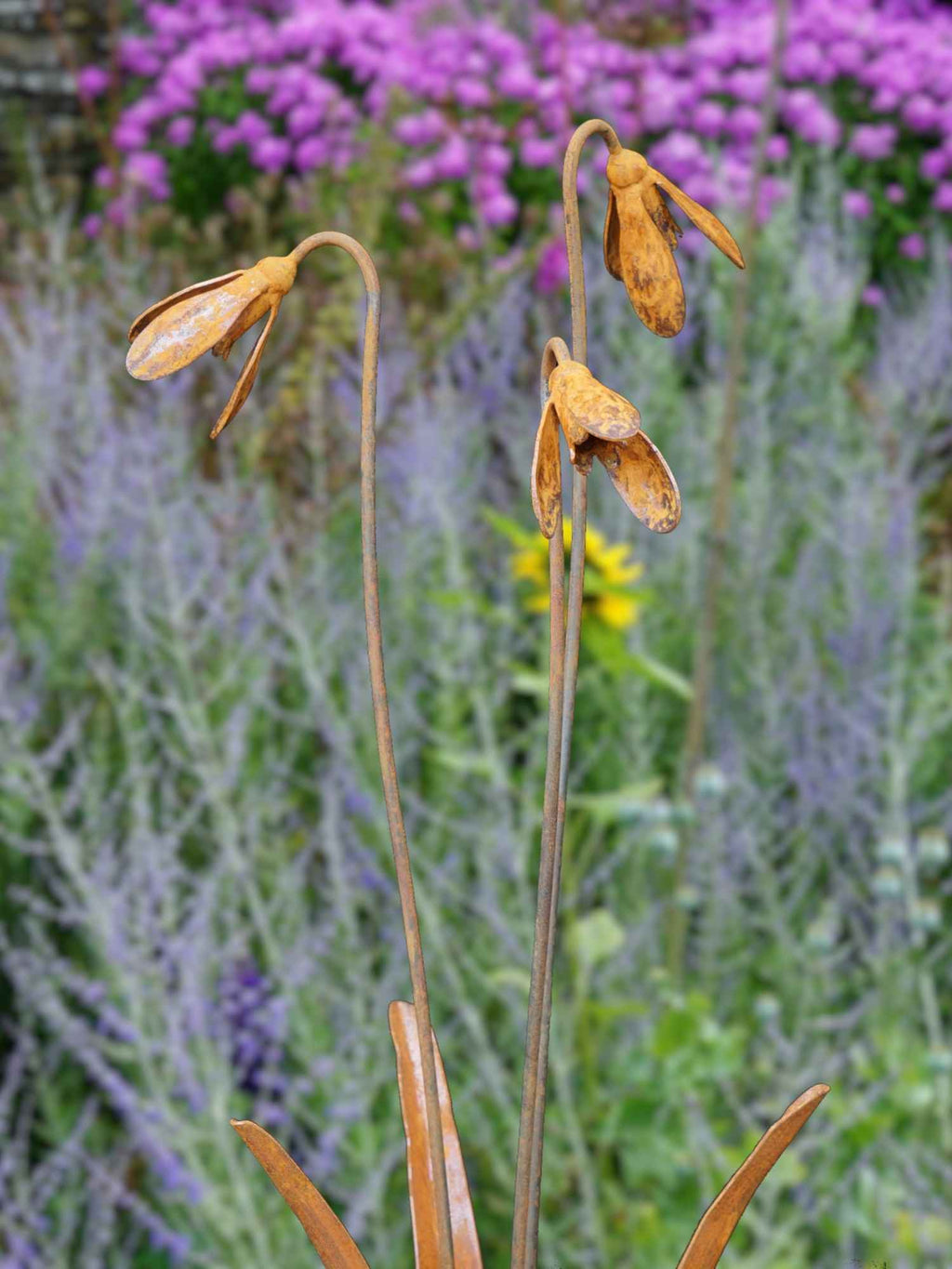 3 rusty steel snowdrop sculptures against a garden background with vibrant purple flowers.