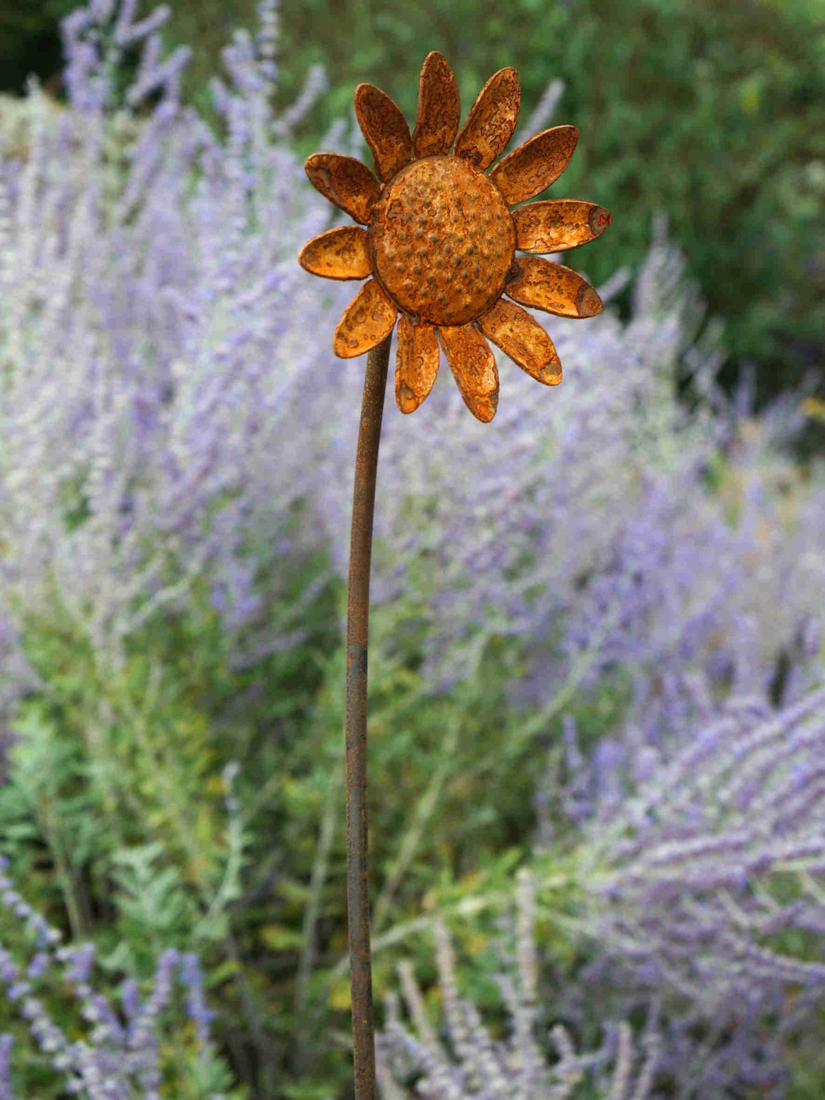 A rusted metal garden stake shaped like a sunflower, standing in a blurred garden of purple lavender and green foliage.