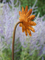 A rusted metal garden sculpture shaped like a dried sunflower on a long stem, photographed outdoors against a blurred background of lavender and green foliage.