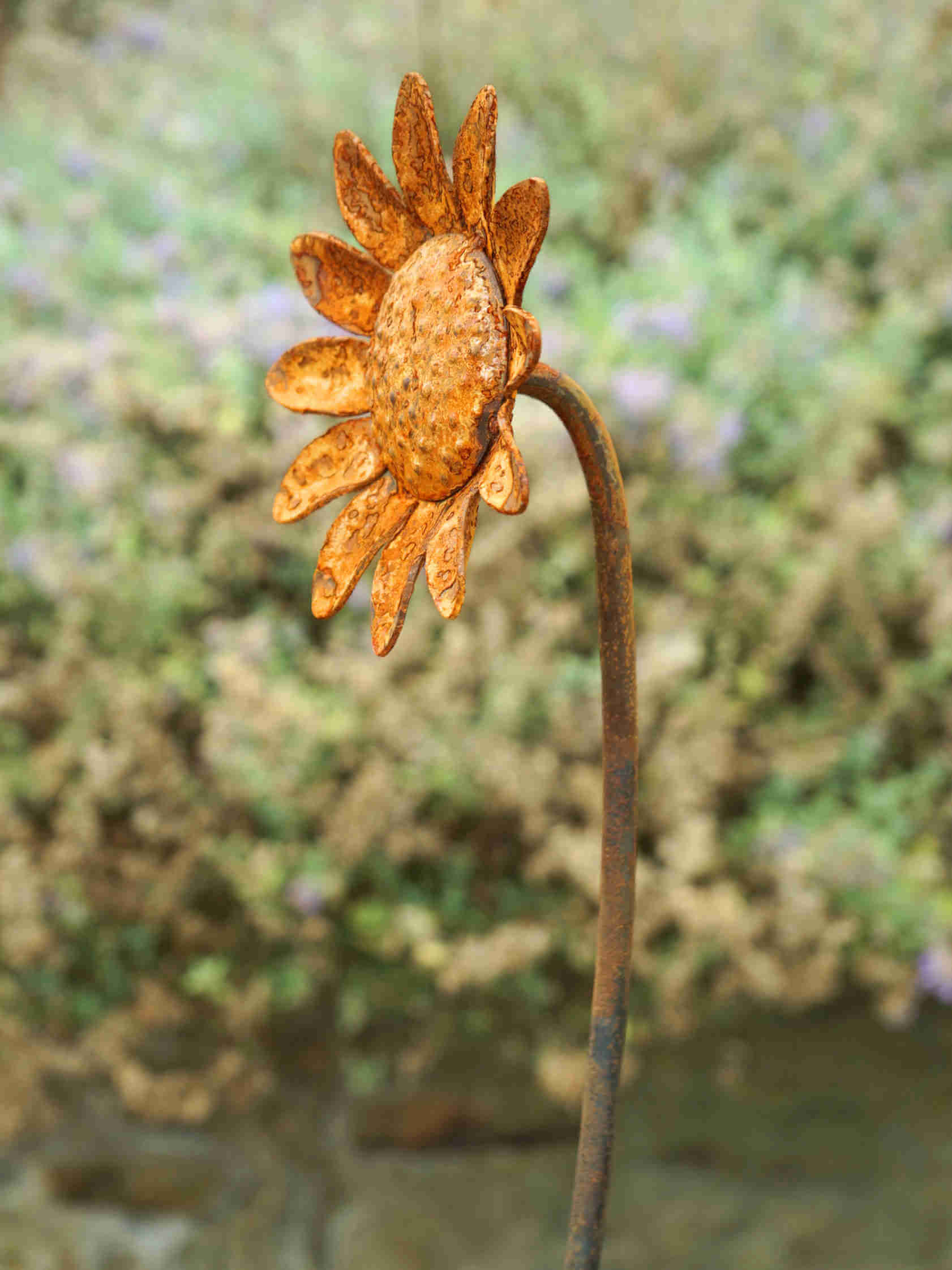 A rusted metal garden sculpture shaped like a sunflower on a long stem, photographed outdoors against a blurred green and beige garden background.