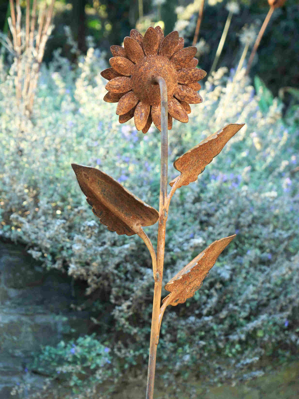 Rustic metal garden sculpture of a sunflower with a weathered brown finish, set against a blurred garden background with foliage and lavender. Image shows the flower from beind.