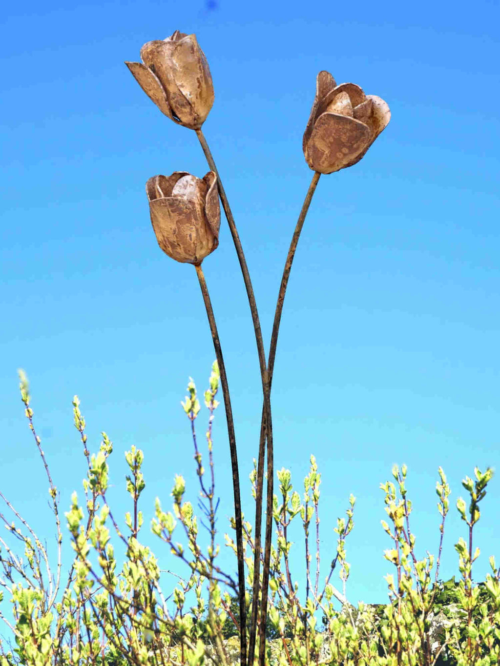 Rusty metal tulip sculptures against a clear blue sky