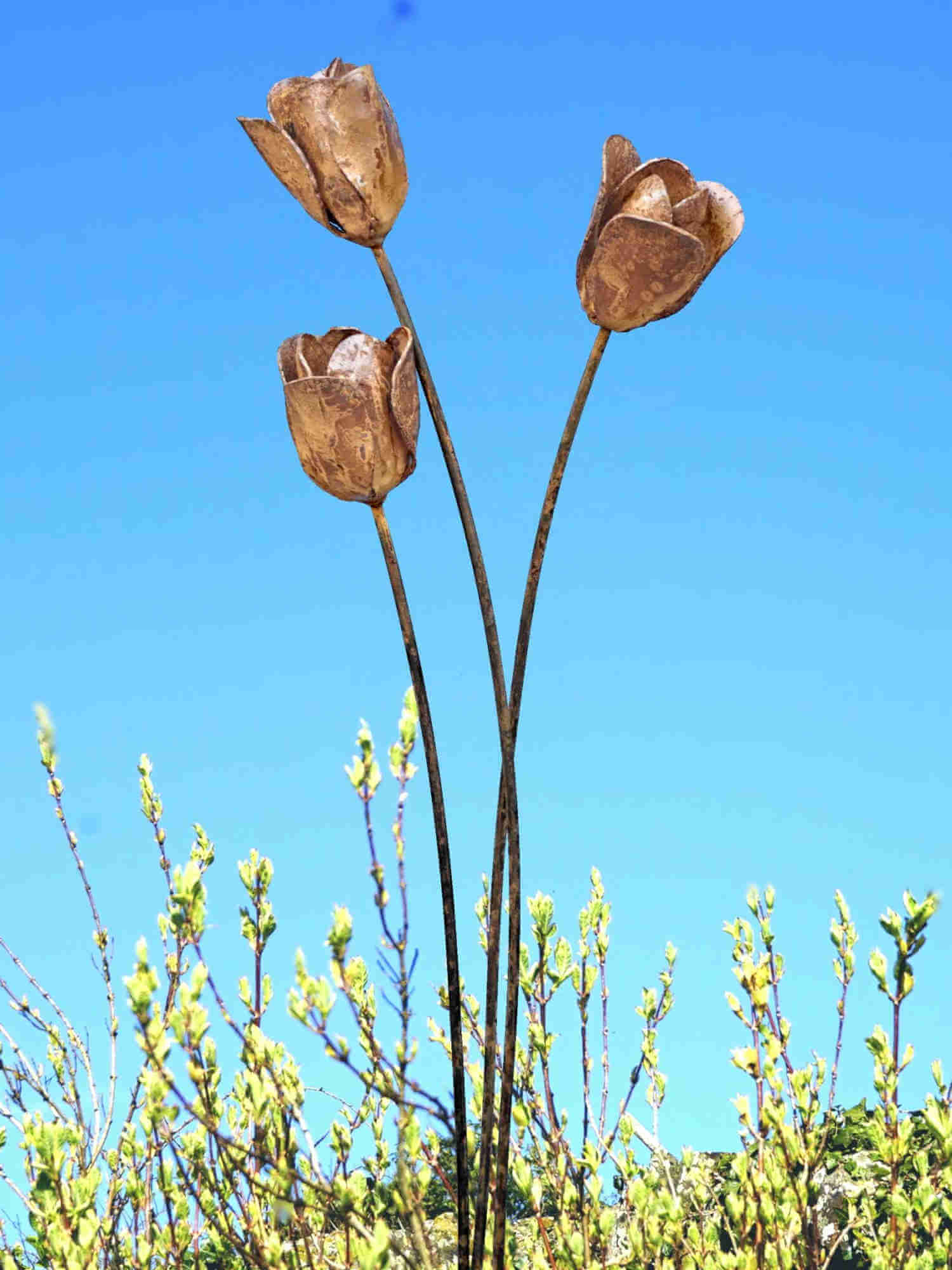 Rusty metal tulip sculptures against a clear blue sky