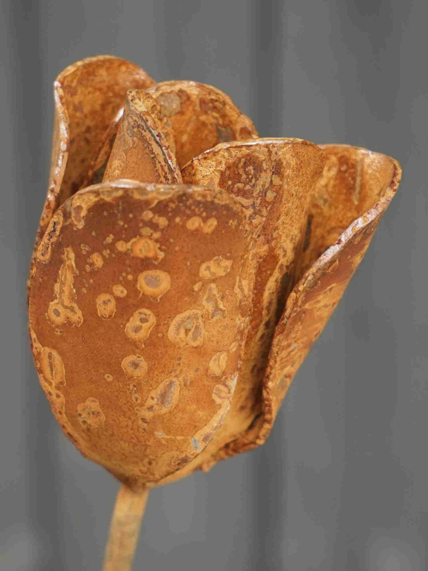 Close up image of a metal tulip flower sculpture showing the rusty patina finish