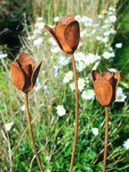 Rusty metal tulip sculptures in a garden with white flowers.