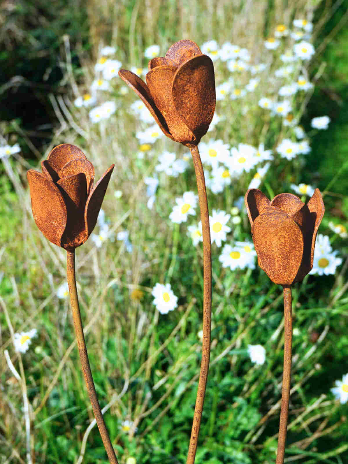 Rusty metal tulip sculptures in a garden with white flowers.