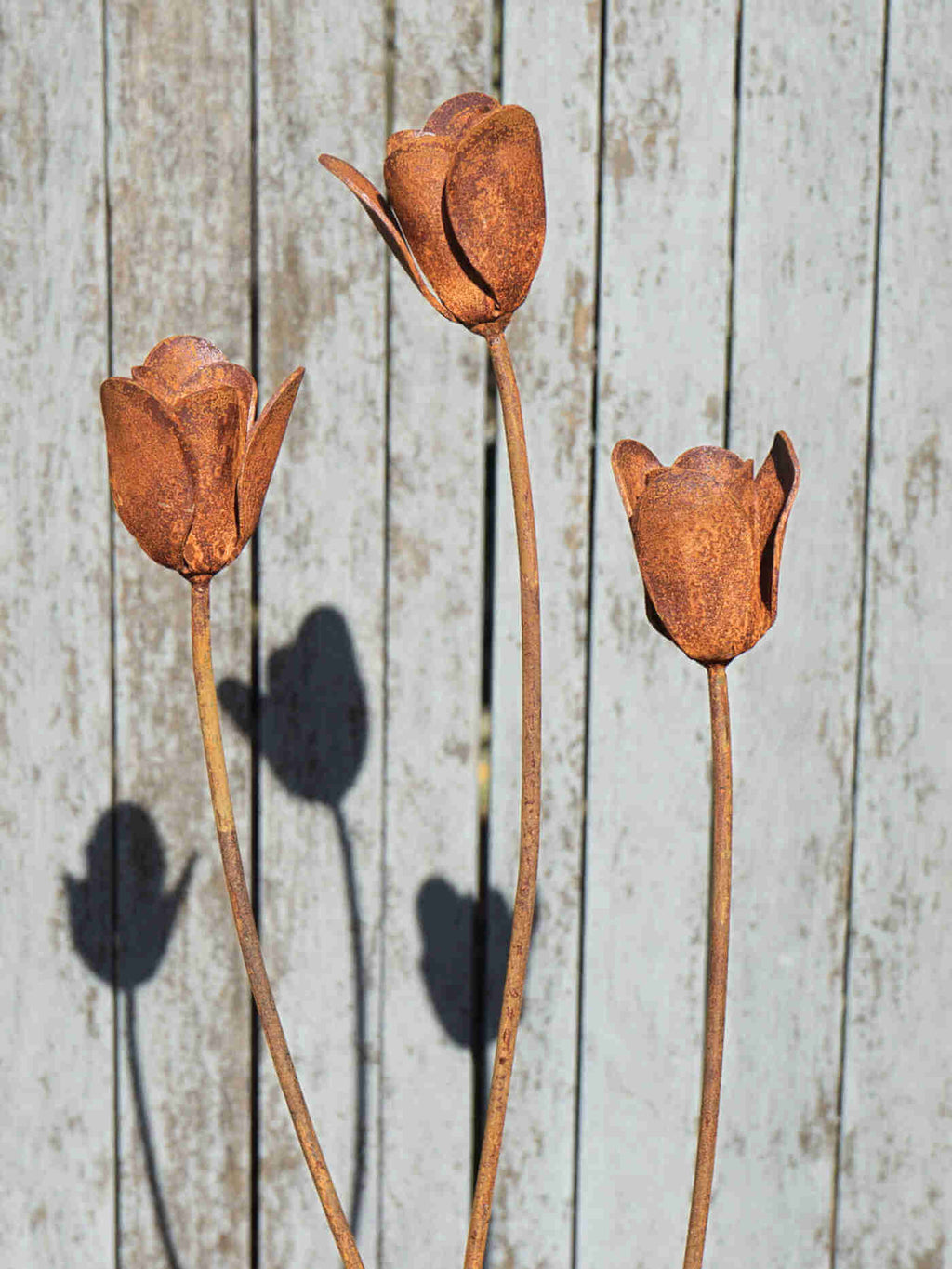 Rusty metal tulips flower sculptures against a weathered wooden background