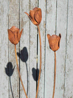 Rusty metal tulips flower sculptures against a weathered wooden background