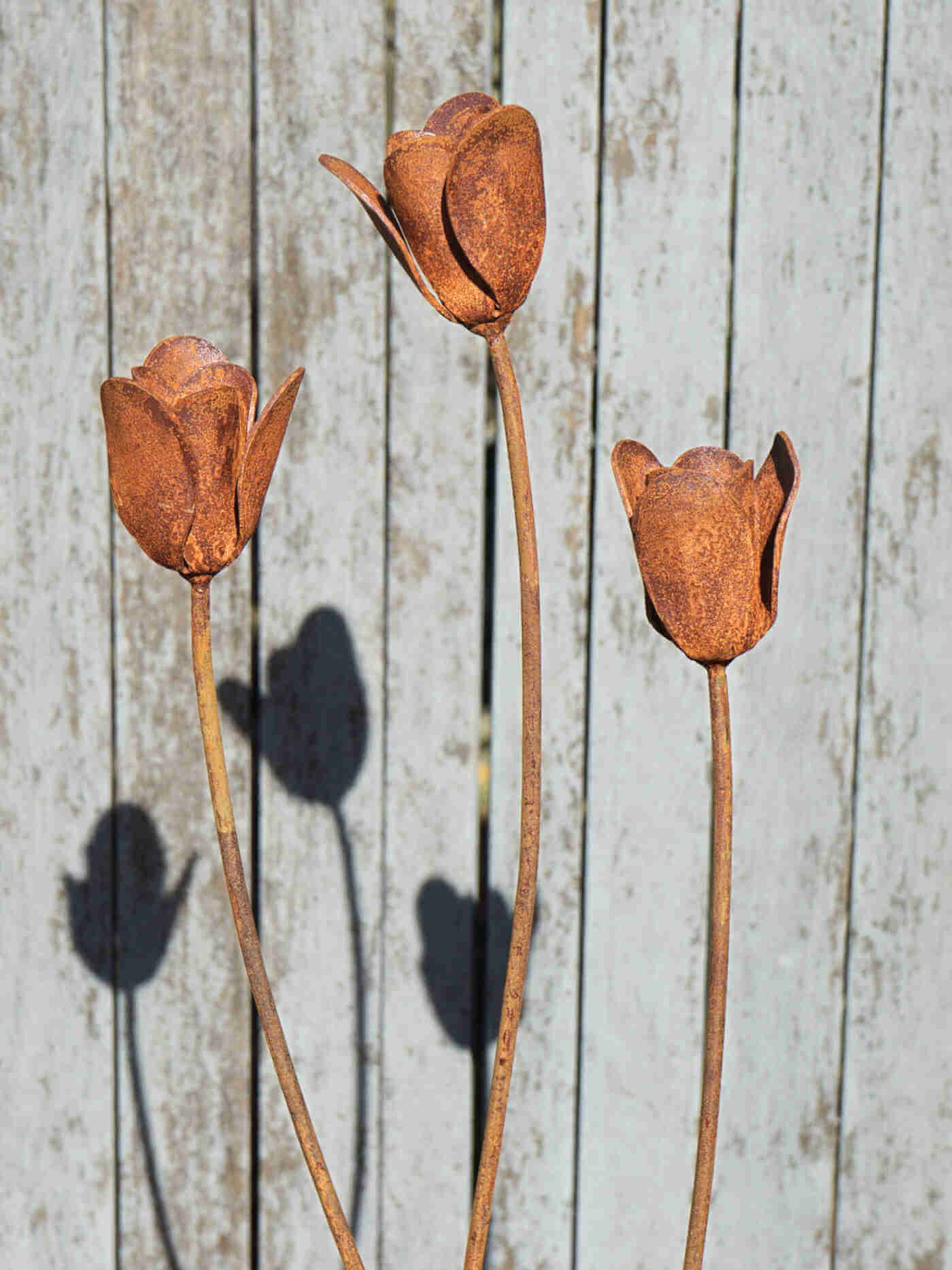 Rusty metal tulips flower sculptures against a weathered wooden background