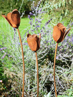 Rusty metal tulips flower sculptures in a garden setting with green and purple plants.