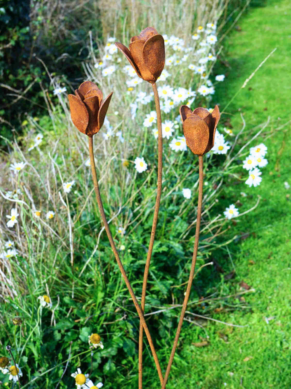 Rusty metal tulips flower sculptures in a garden with a white daisy border.