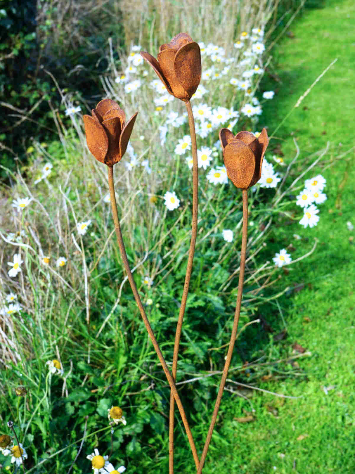Rusty metal tulips flower sculptures in a garden with a white daisy border.