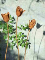 Rusty metal tulips flower sculptures on slender stems against a blurred natural background